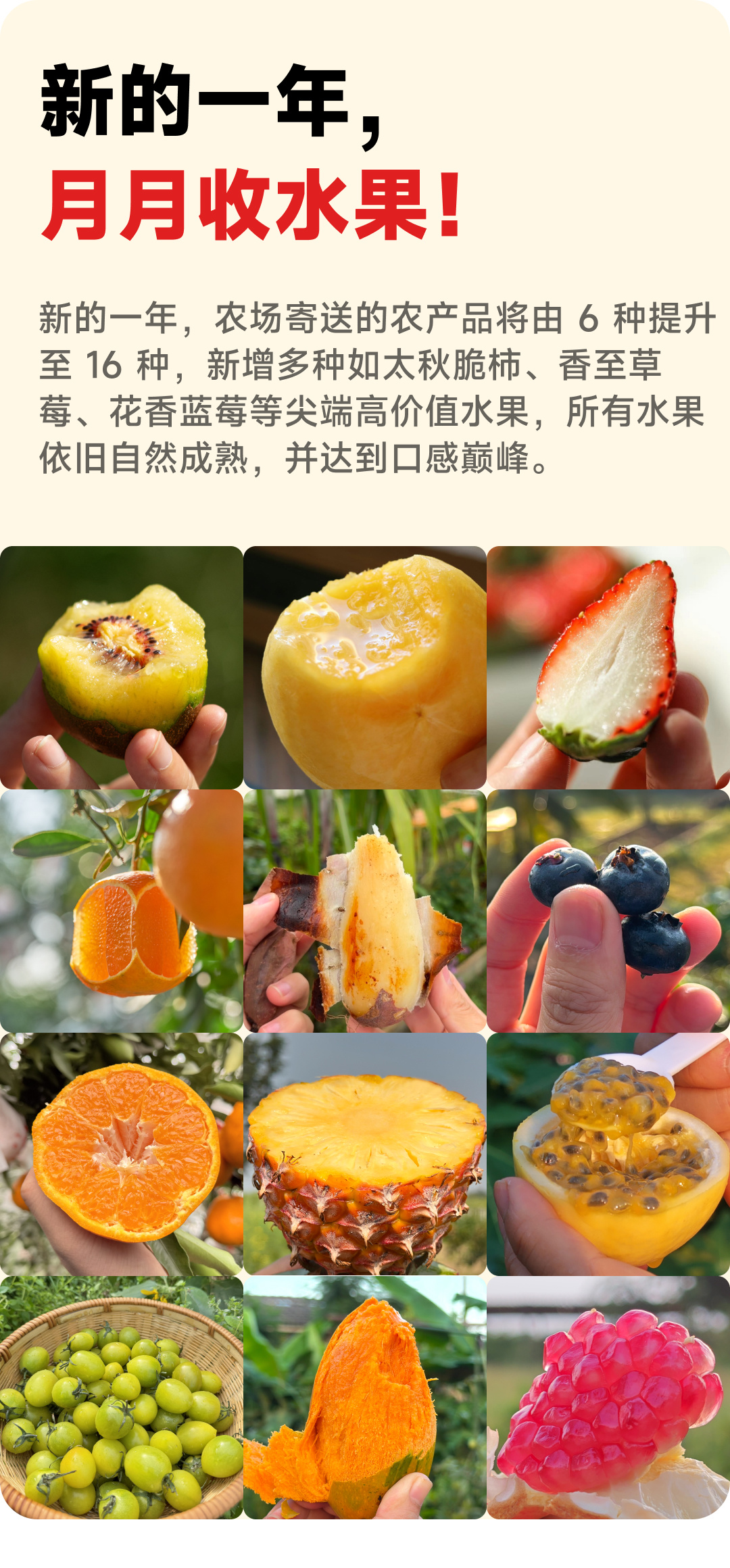全年地主计划会员产品内容